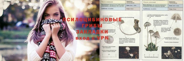 spice Кинешма