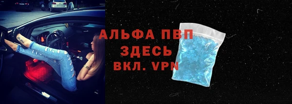 spice Кинешма