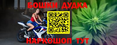 PSILOCYBIN Владикавказ