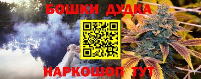 PSILOCYBIN Владикавказ