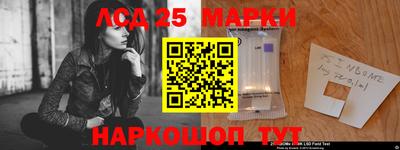PSILOCYBIN Владивосток