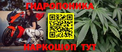 PSILOCYBIN Владивосток