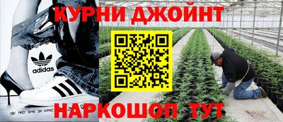 PSILOCYBIN Владивосток