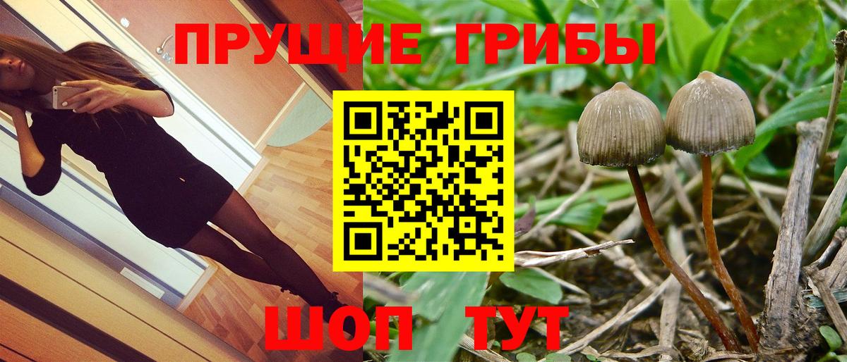 Псилоцибиновые грибы мицелий Петровск