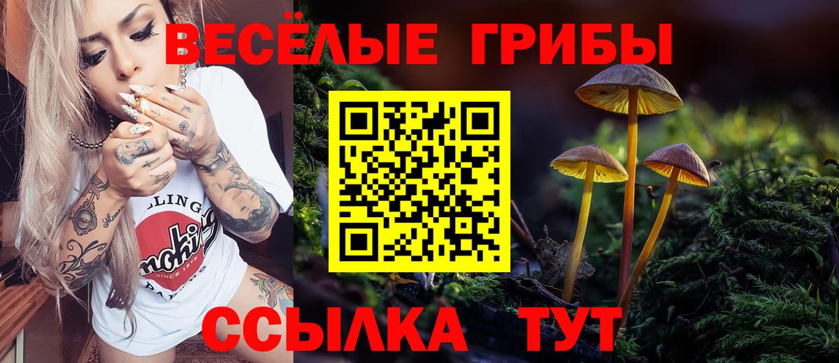 Псилоцибиновые грибы мухоморы  Вход с VPN  Петровск 