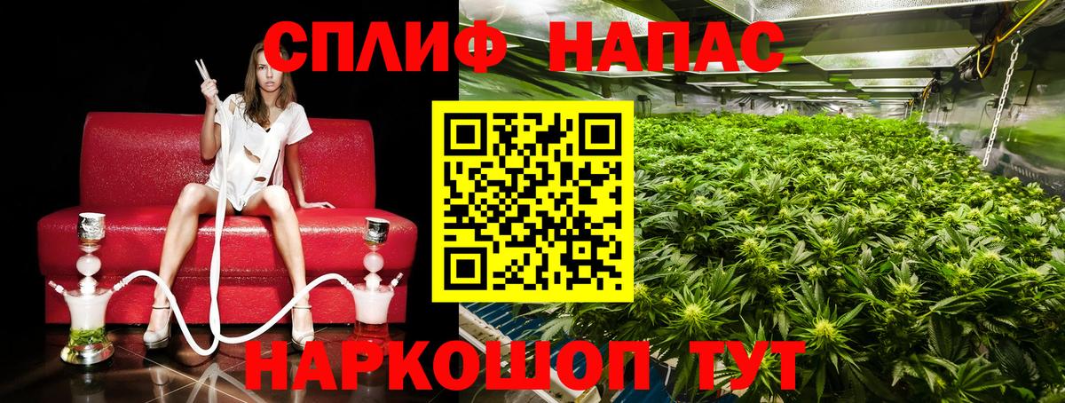 Конопля Bruce Banner Петровск